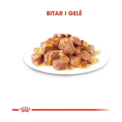 Royal Canin Sterilised Jelly