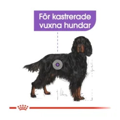 Royal Canin Sterilised Maxi