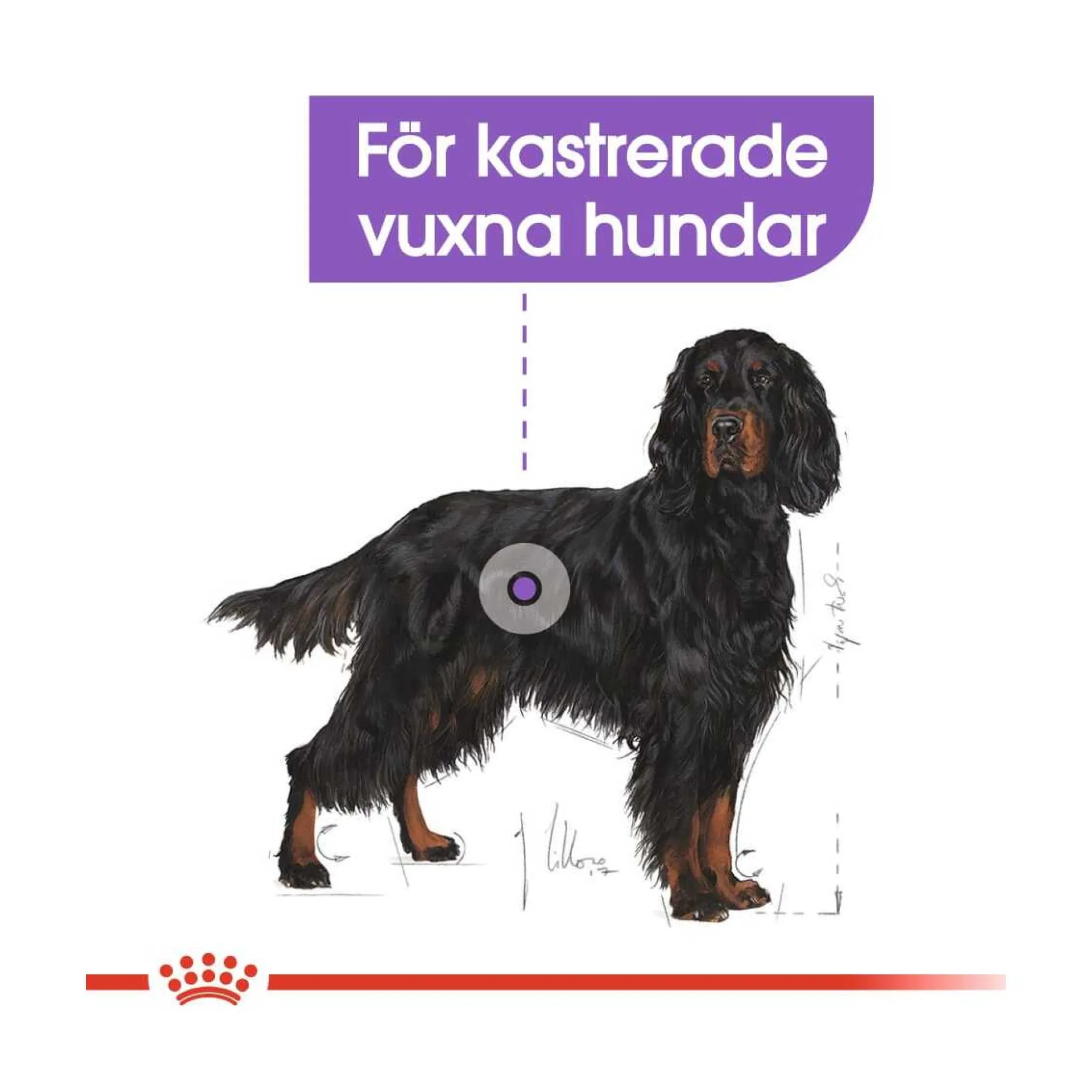 Royal Canin Sterilised Maxi