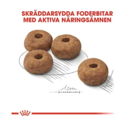 Royal Canin Sterilised Medium