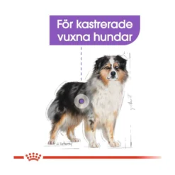 Royal Canin Sterilised Medium
