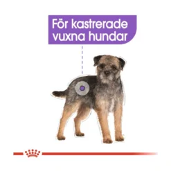 Royal Canin Sterilised Wet