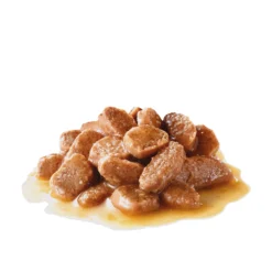 Royal Canin Urinary Care Gravy