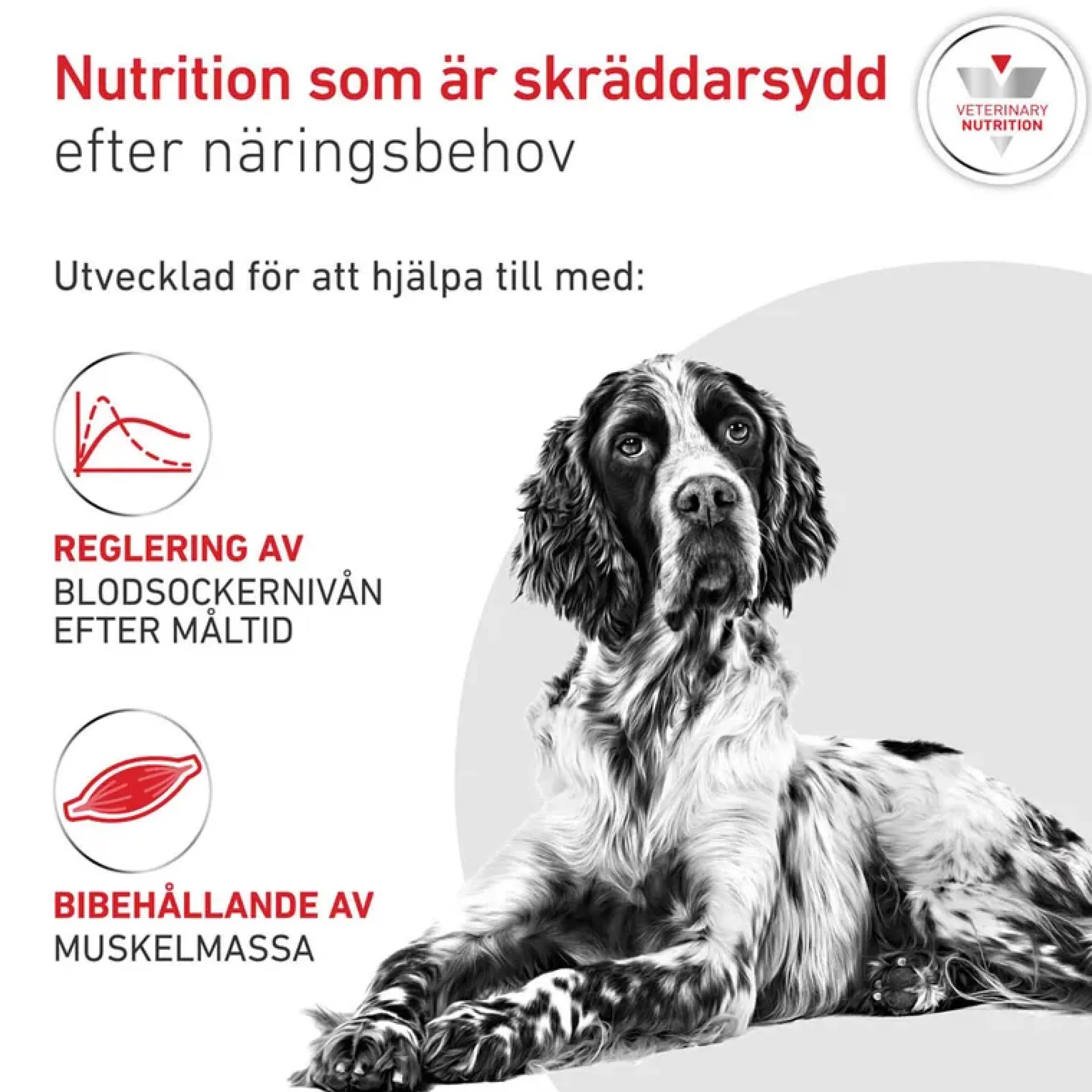 Royal Canin Weight Management Glycobalance Torrfoder för Hund