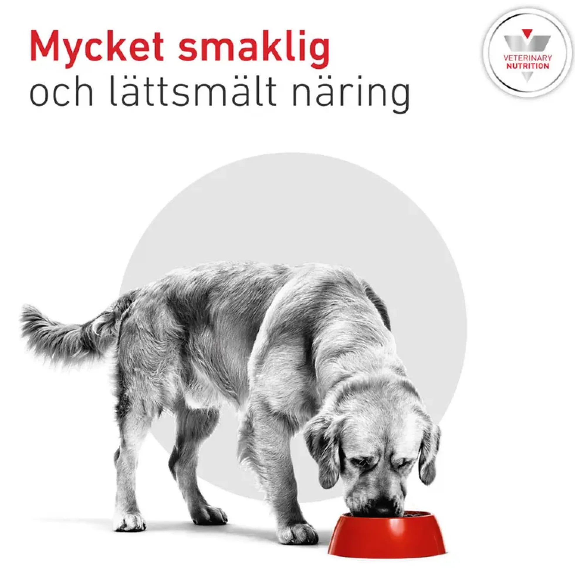 Royal Canin Weight Management Glycobalance Torrfoder för Hund