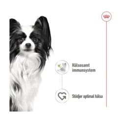 Royal Canin X-small Adult Wet