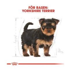 Royal Canin Yorkshire Terrier Puppy