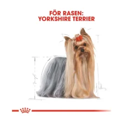Royal Canin Yorkshire Terrier Adult