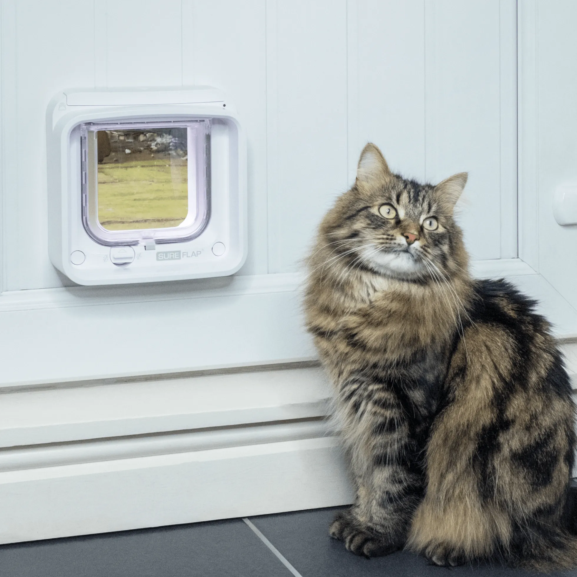 SureFlap Microchip Cat Flap Connect