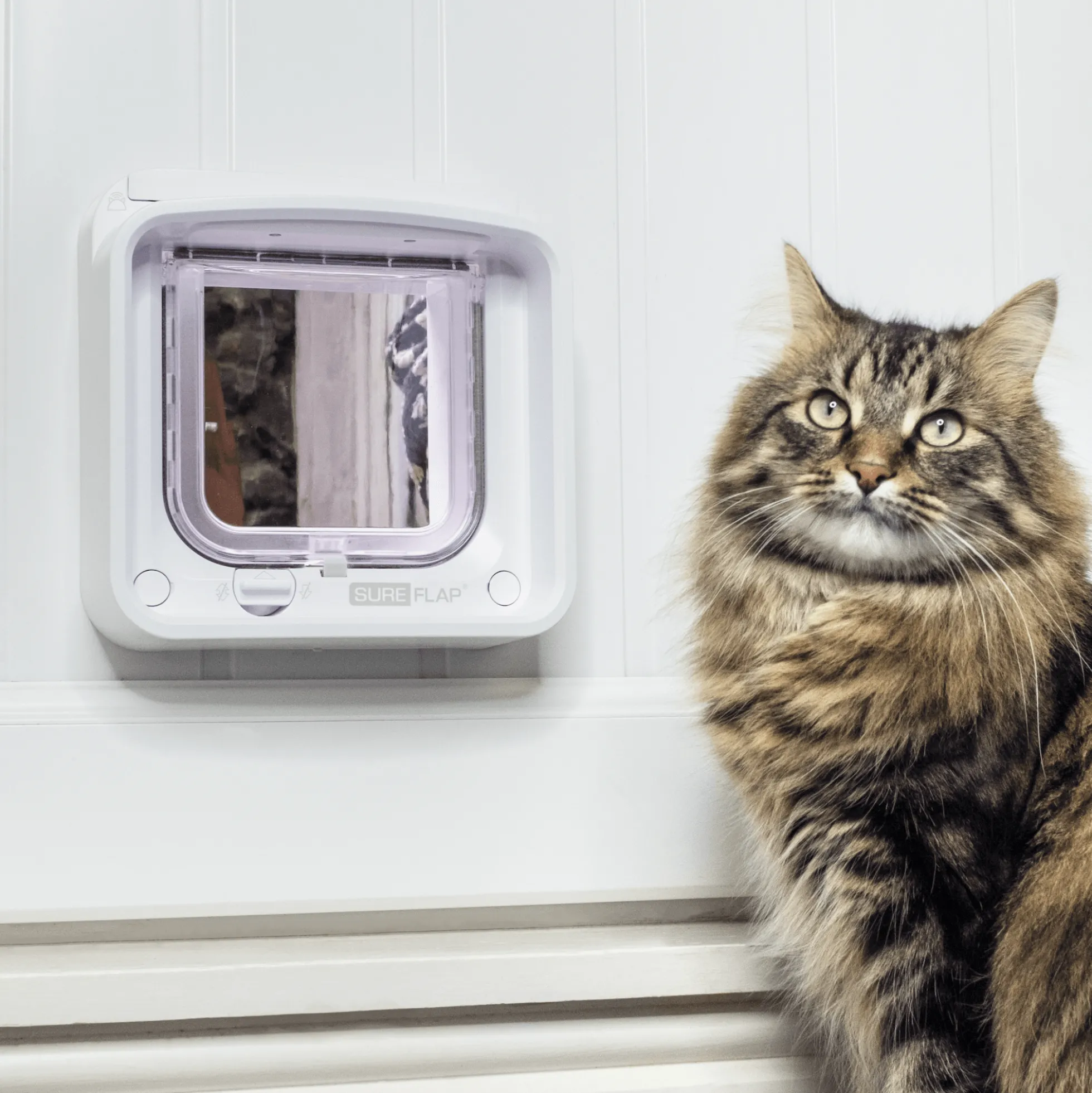 SureFlap Microchip Cat Flap Connect