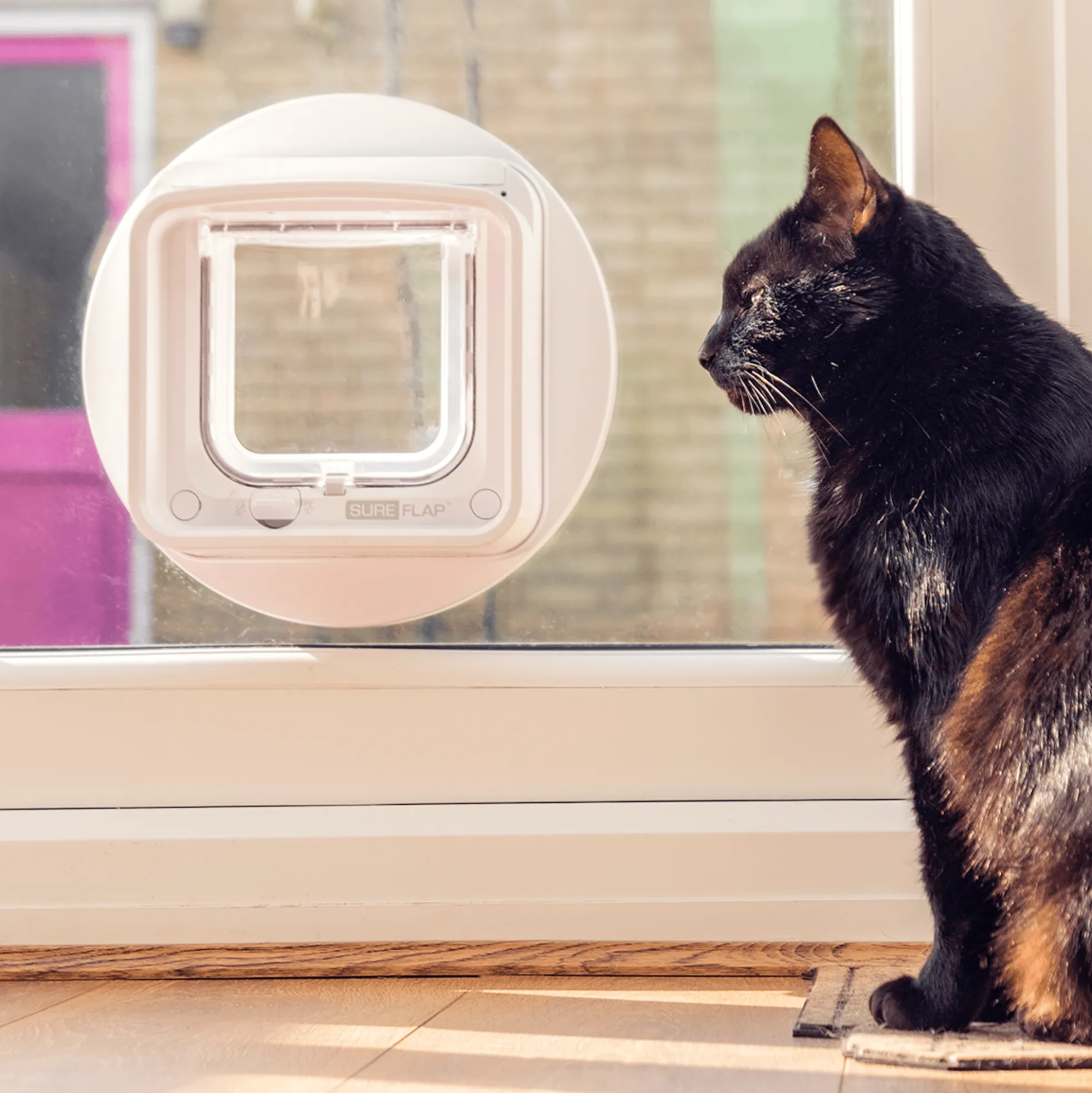 SureFlap Microchip Cat Flap Connect