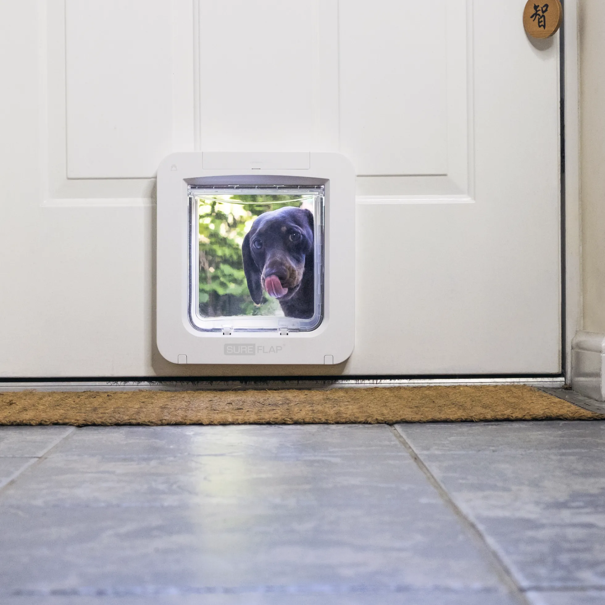 SureFlap Microchip Pet Door Connect