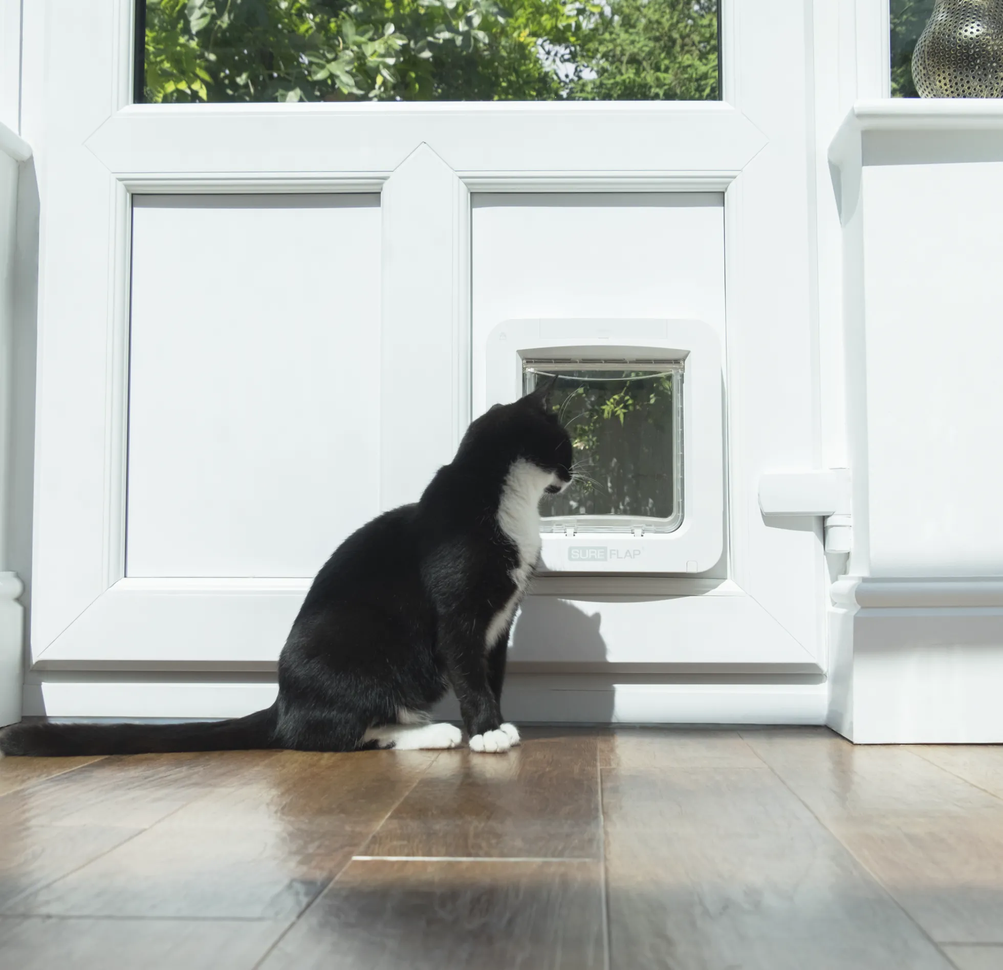 SureFlap Microchip Pet Door Connect