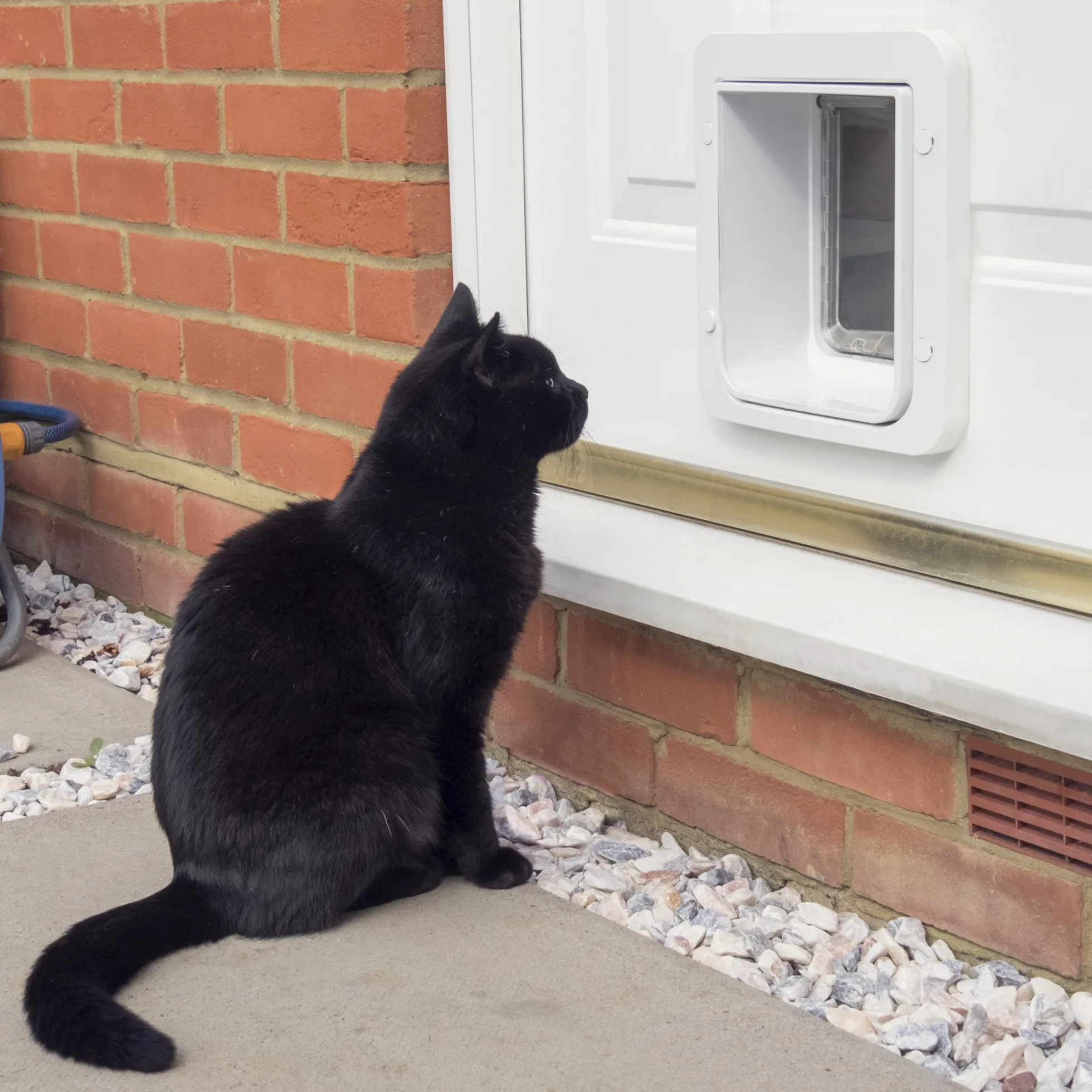 SureFlap Microchip Pet Door Connect