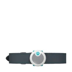 Sure Petcare Animo Activity Tracker