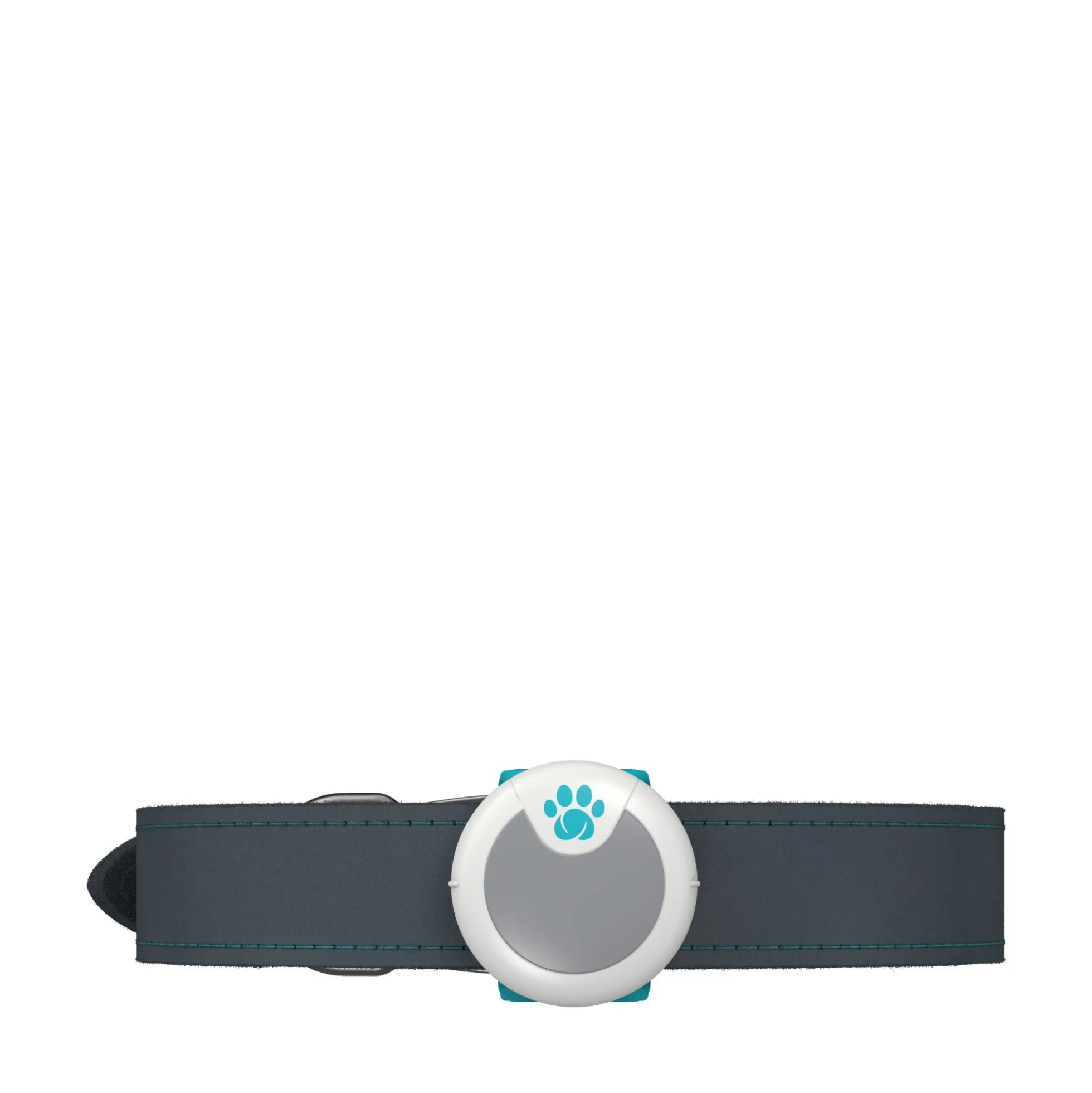 Sure Petcare Animo Activity Tracker