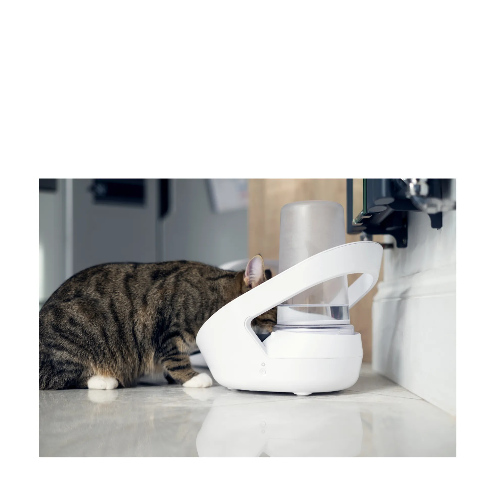 Sure Petcare Felaqua Connect