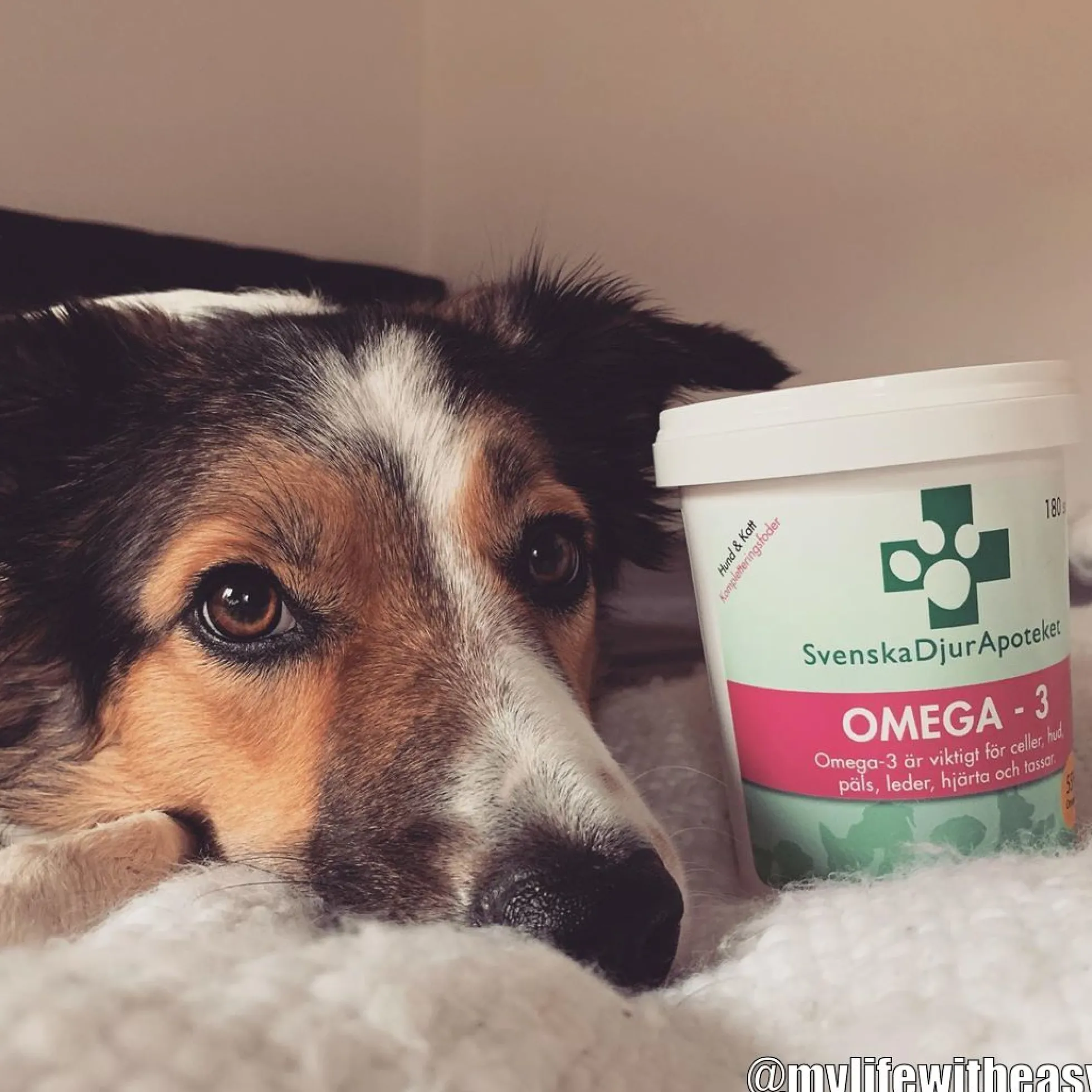 Svenska Djurapoteket Omega-3 Kapslar
