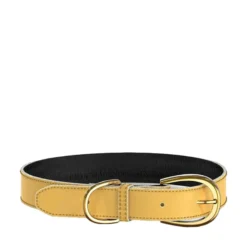 Swaggin Tails Halsband