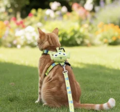 Toy Story Harness & Leash Set