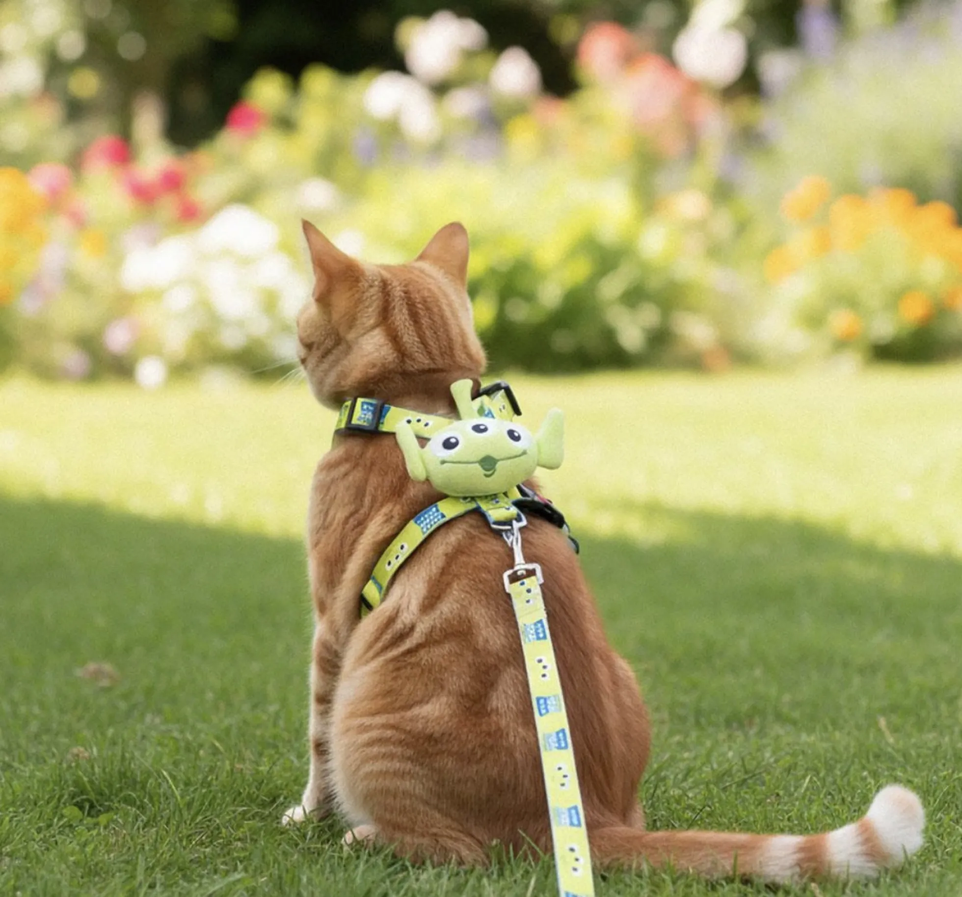 Toy Story Harness & Leash Set