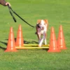 TRIXIE Agility Hinderset