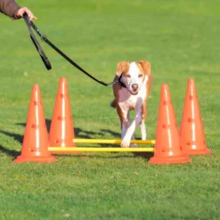TRIXIE Agility Hinderset