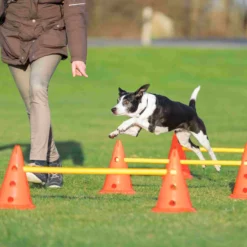 TRIXIE Agility Hinderset