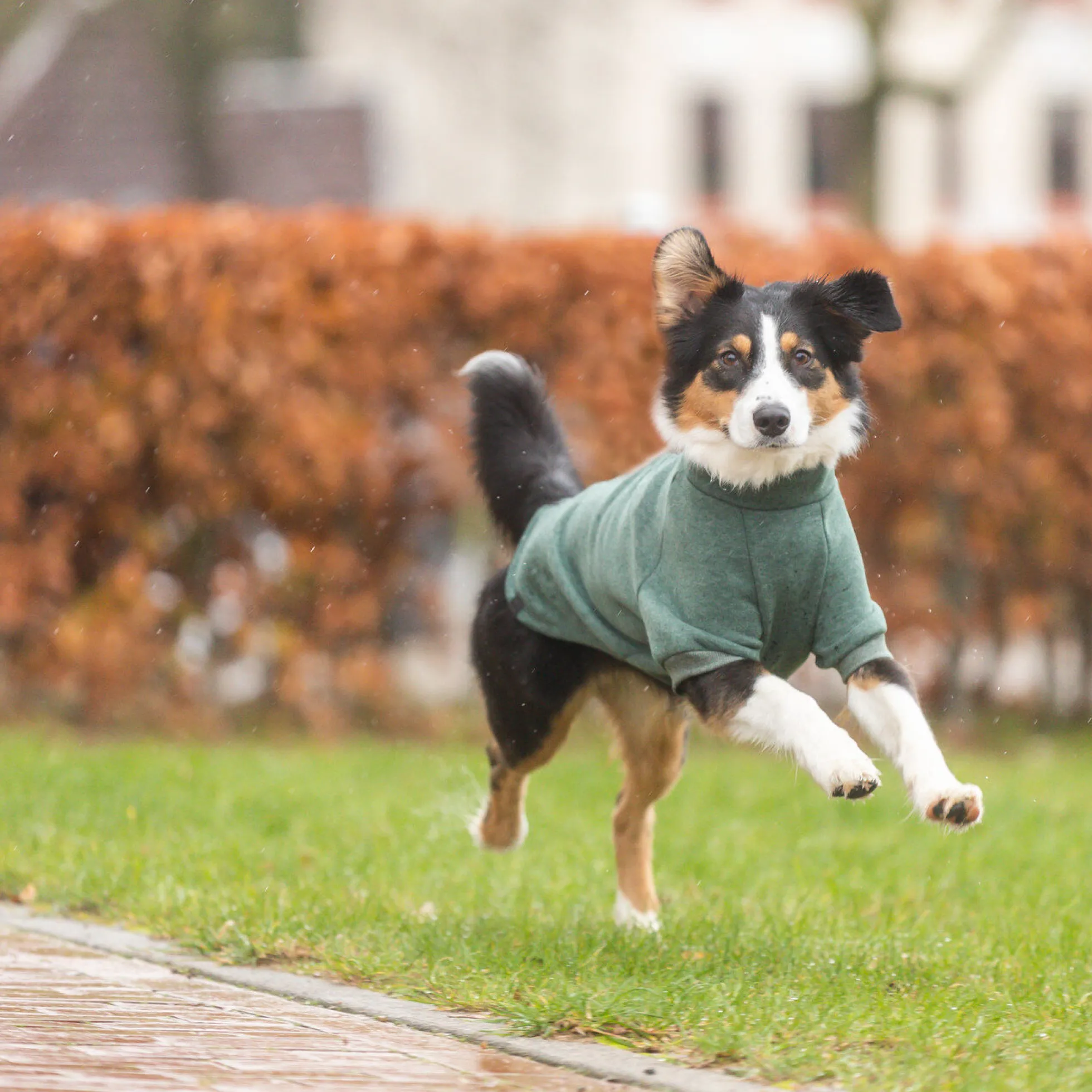 TRIXIE CityStyle Amsterdam Hundtröja