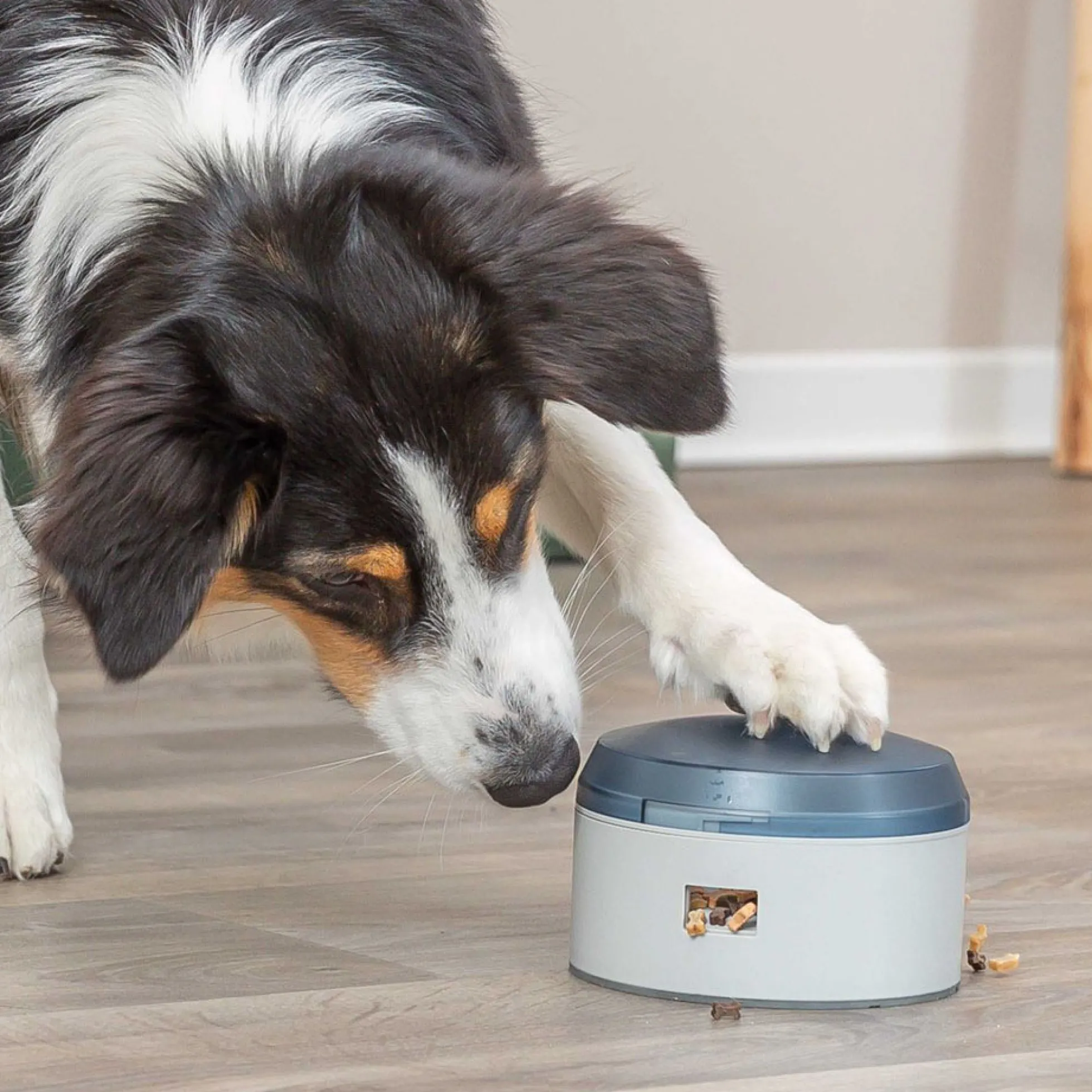 TRIXIE Dog Activity Buzzer, Nivå 1 Aktivitetsleksak