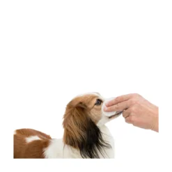 Trixie Ögonservetter 100-pack