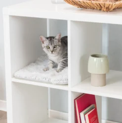 TRIXIE Harvey Dyna för IKEA Kallax