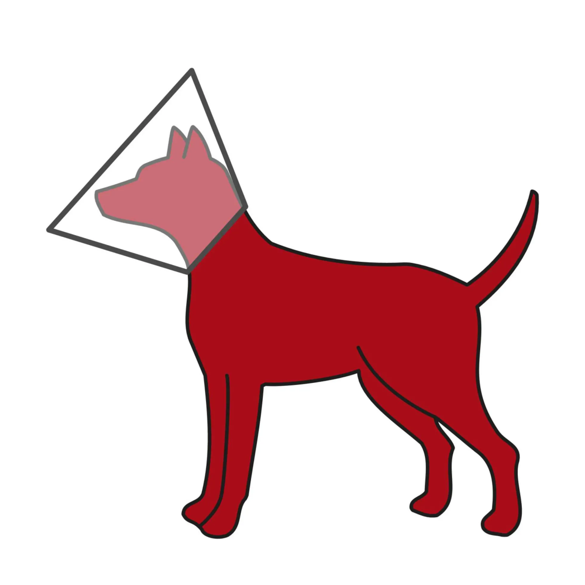 TRIXIE Hundkrage med Kardborre