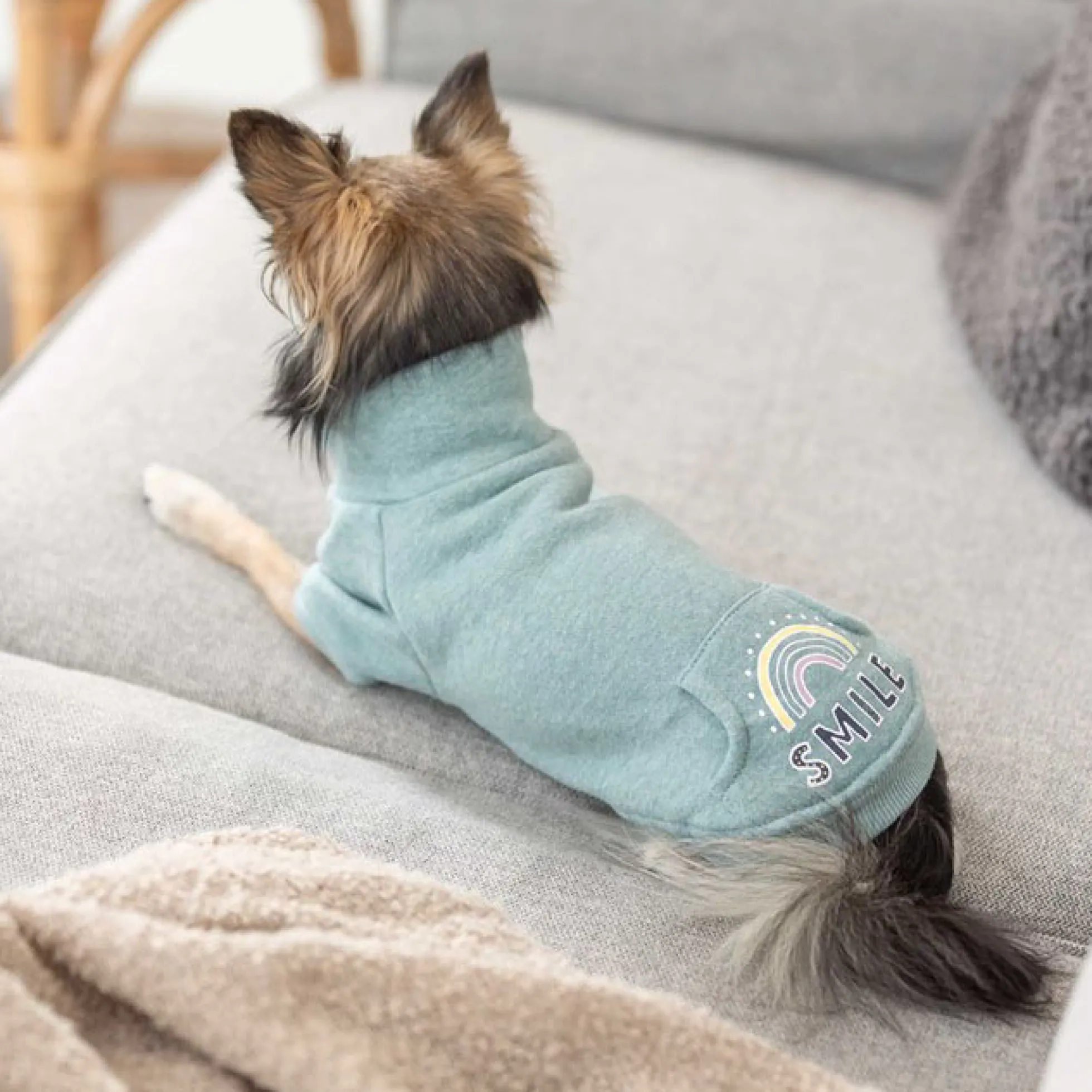 TRIXIE Littleton Hundtröja