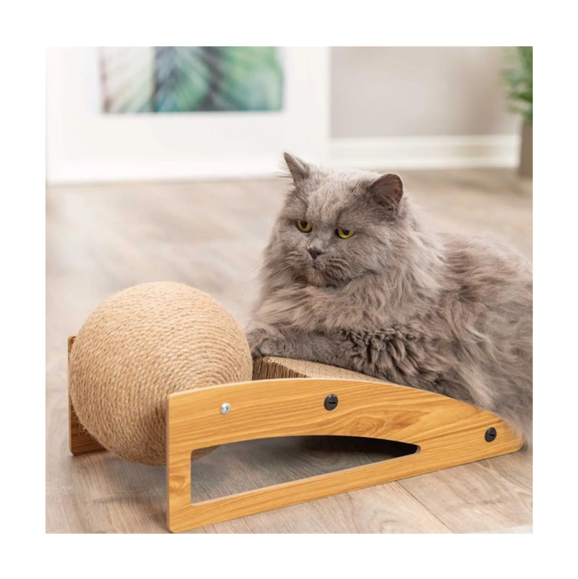 TRIXIE Ramp med Boll Klösmöbel