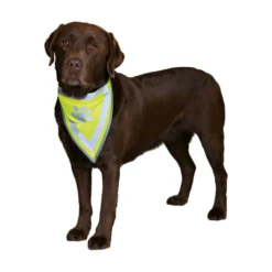 TRIXIE Reflexbandana