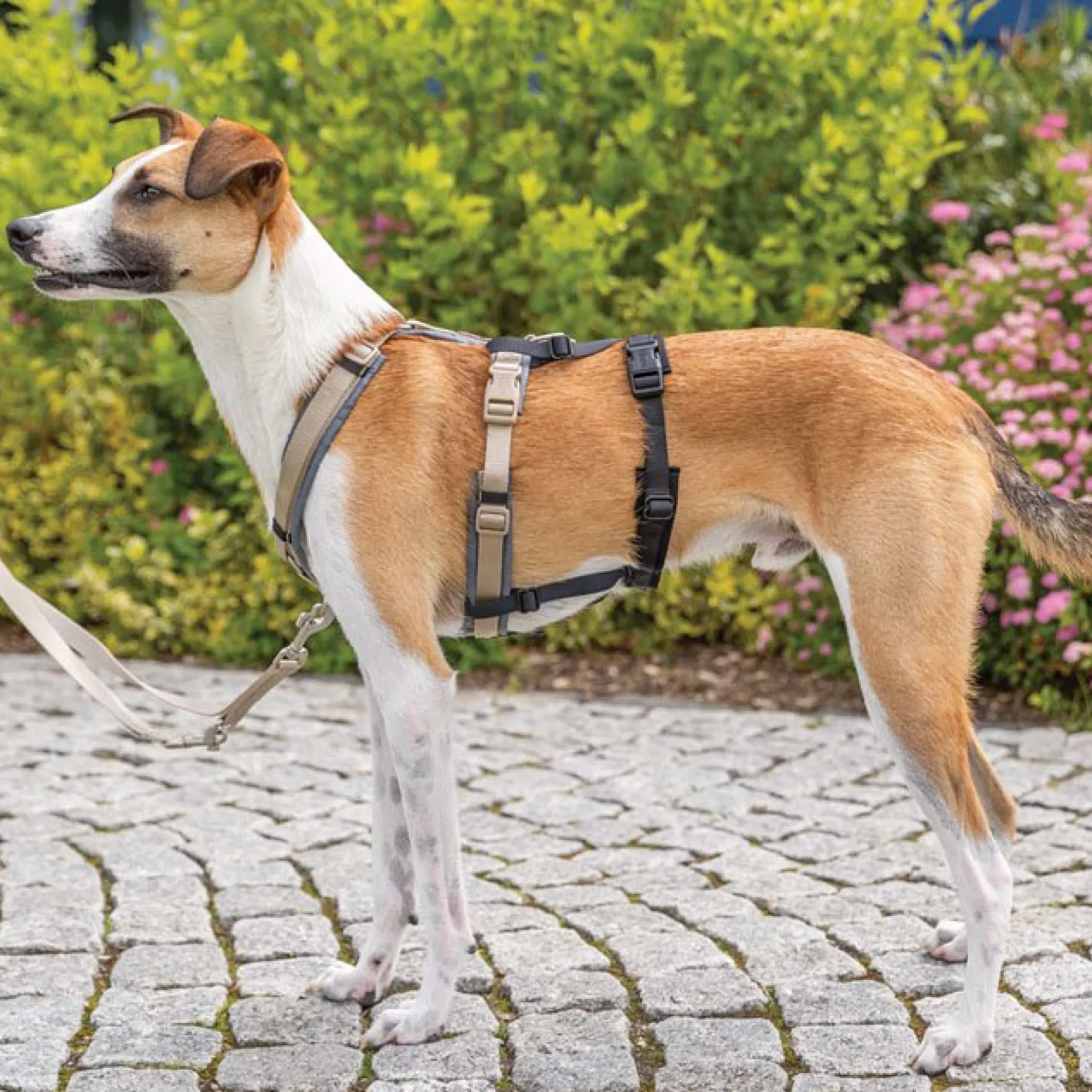 TRIXIE Stay Panic Adapter för Sele