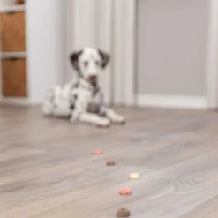 TRIXIE Vegan Cookie Snack Loops