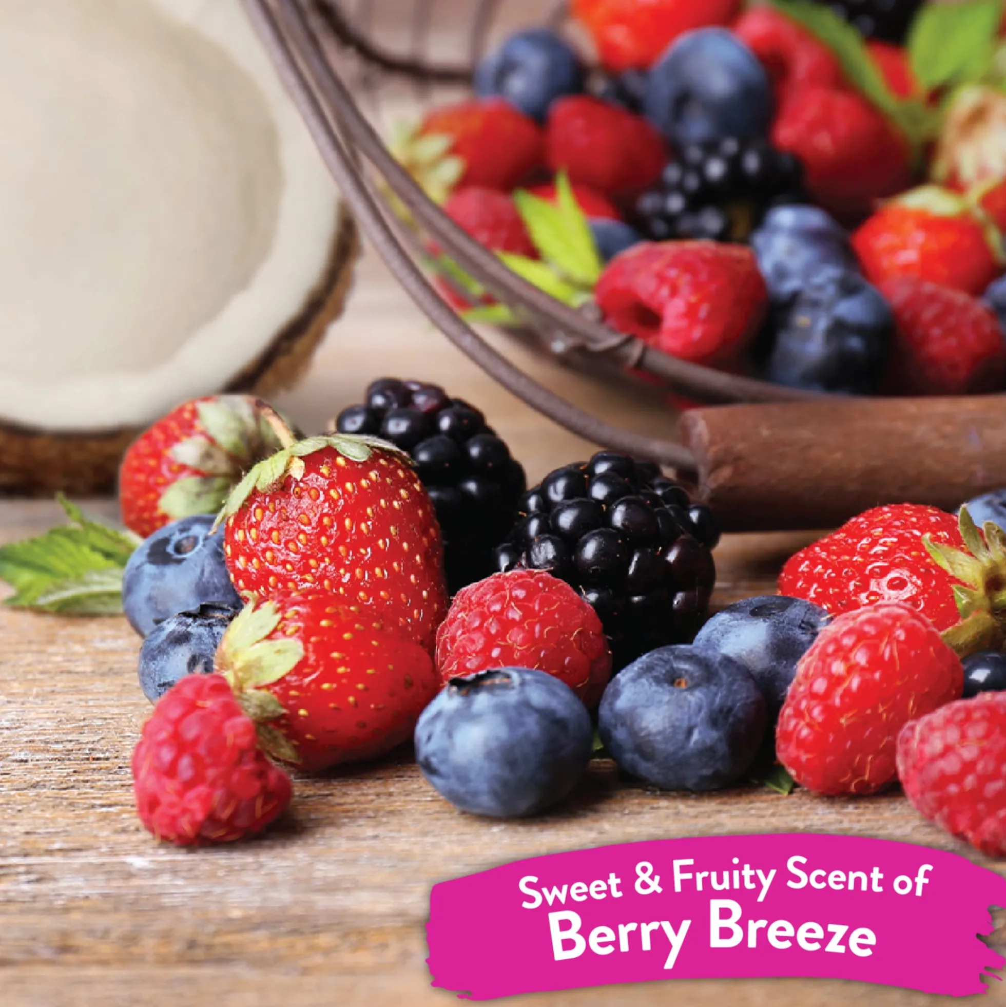 TropiClean Berry Breeze Spray