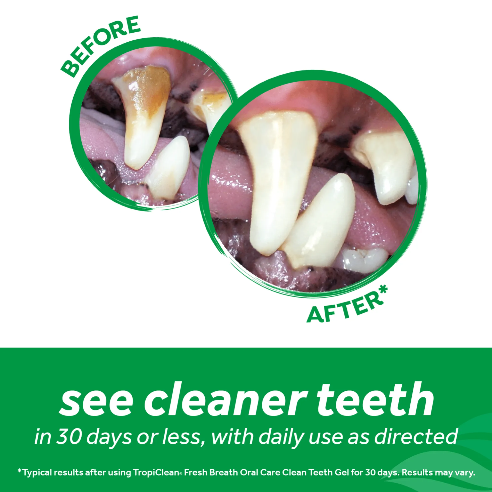 TropiClean Clean Teeth Oral Care Gel