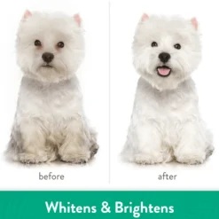 TropiClean Whitening Shampoo