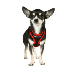 Urban Pup Active Mesh Harness