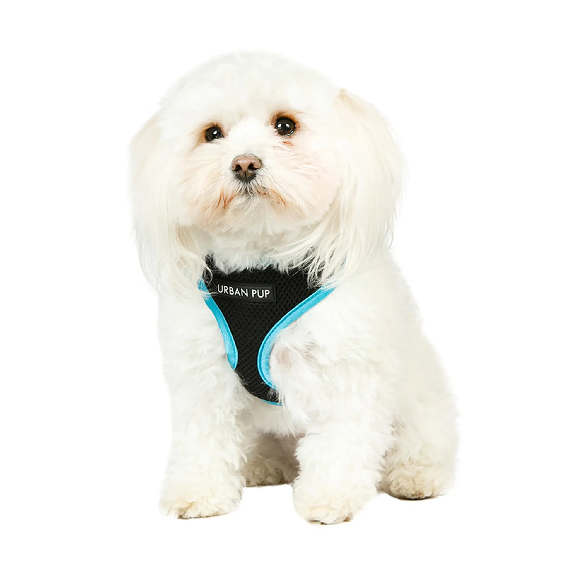 Urban Pup Active Mesh Harness