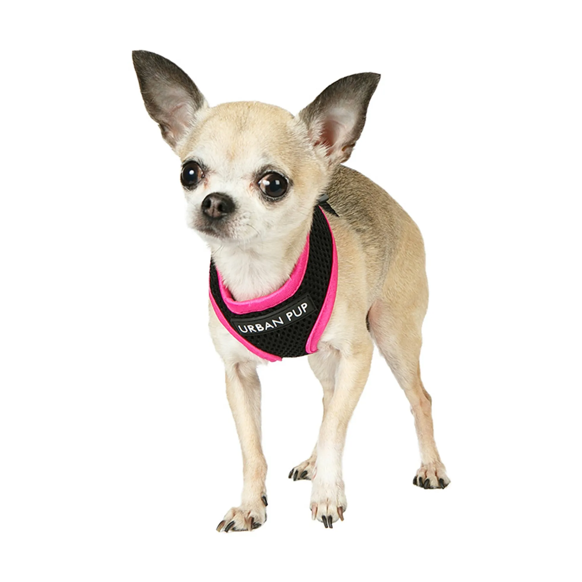 Urban Pup Active Mesh Harness