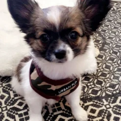Urban Pup Harness