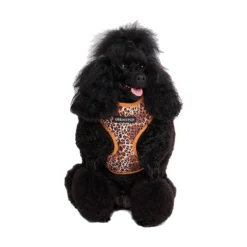 Urban Pup Harness