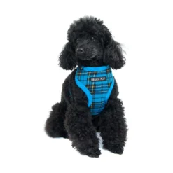Urban Pup Luxury Harness