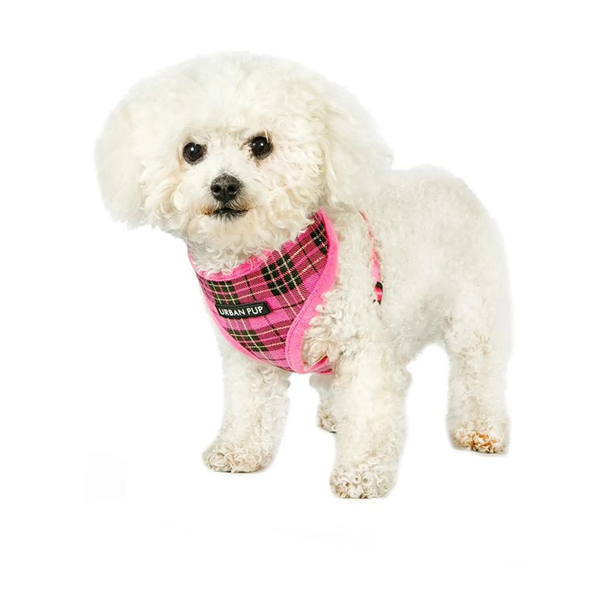 Urban Pup Luxury Harness