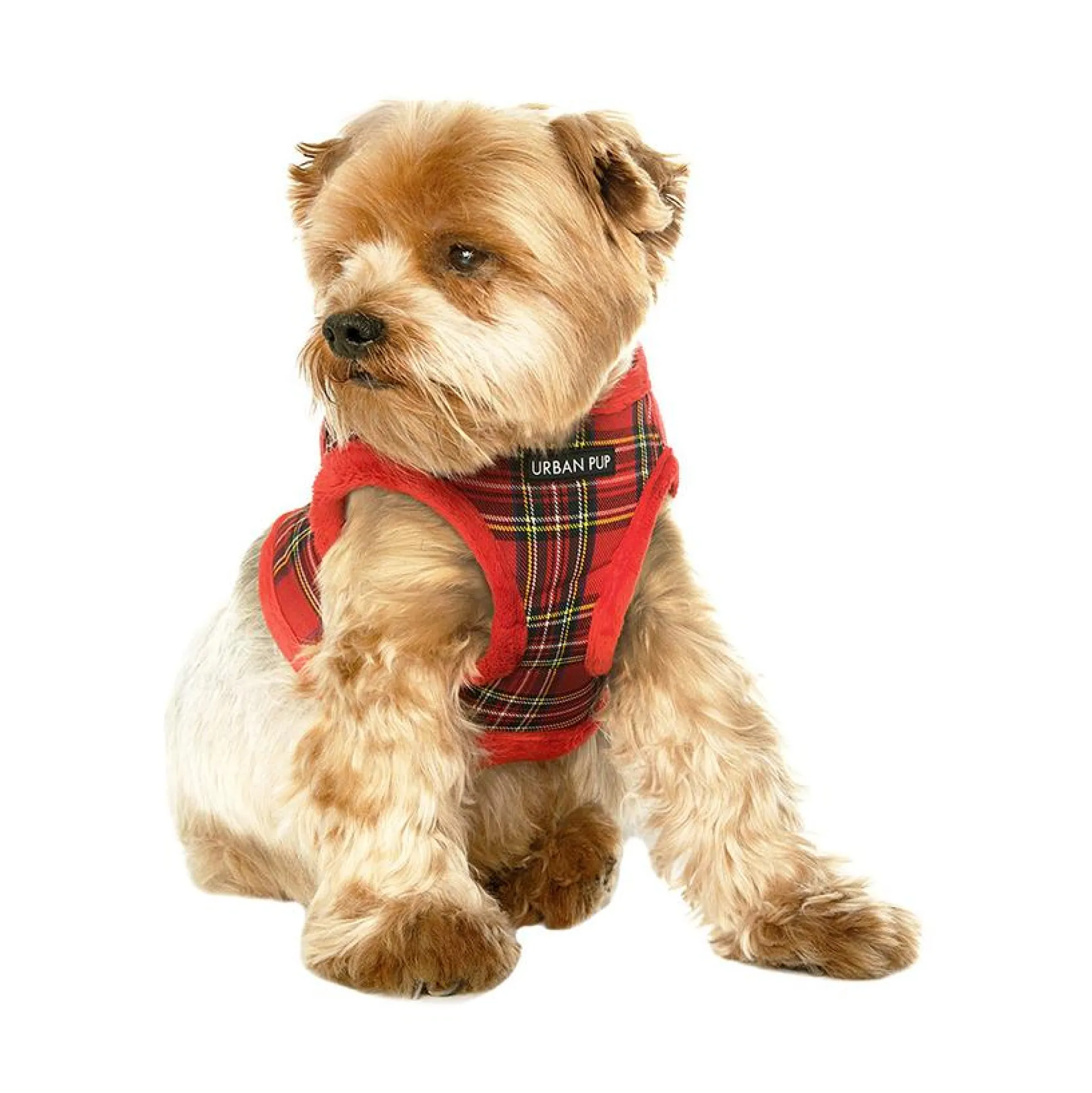 Urban Pup Luxury Harness