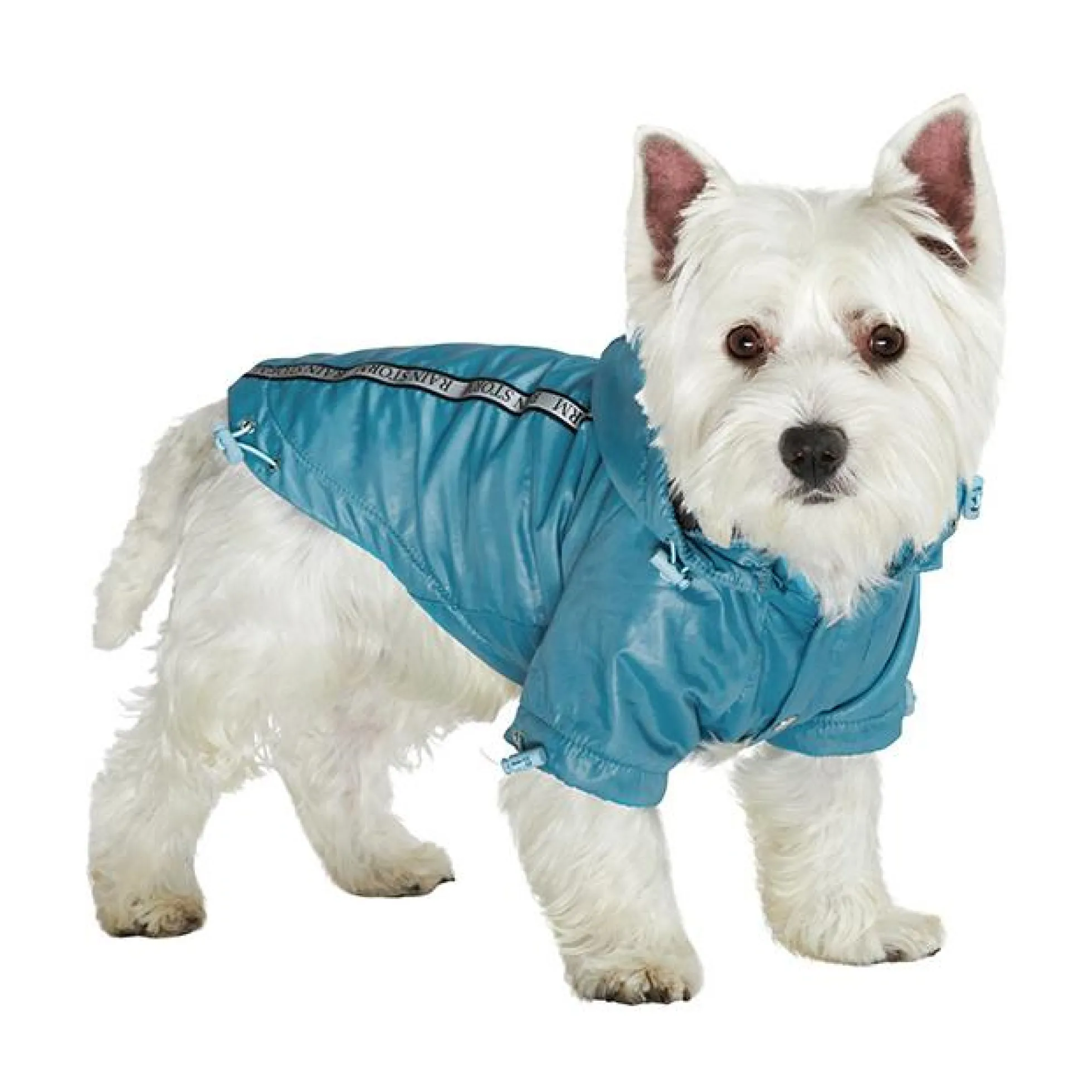 Urban Pup Rainstorm Hundjacka